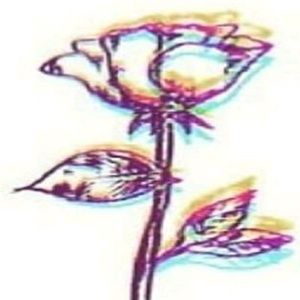 Meet your Posher, Teanna